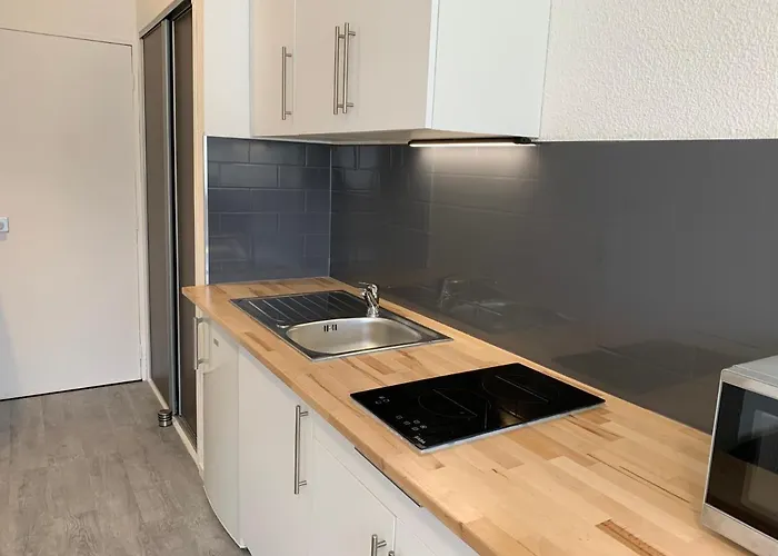 Studio Entierement Renove Avec Parking Gratuit